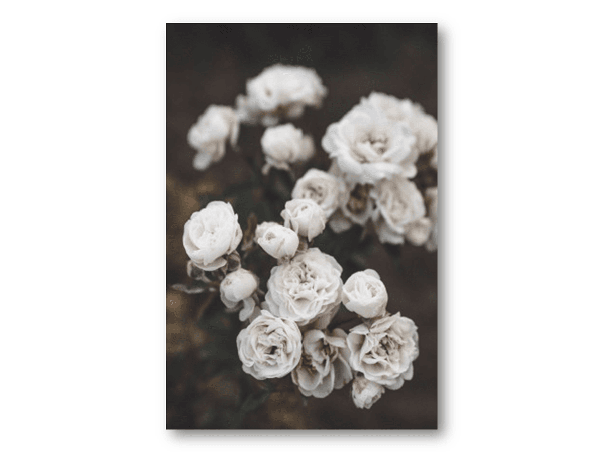 50 stk | Hvite blomster | 10x15 cm